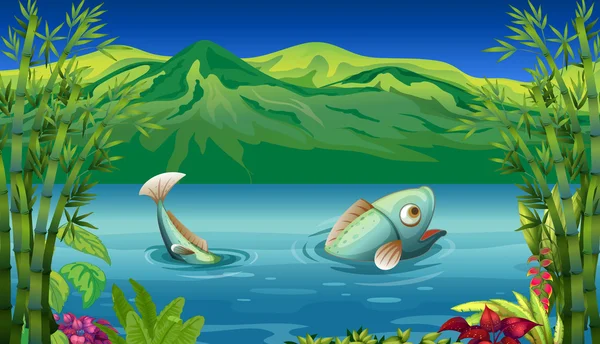 一条大鱼在湖 — 图库矢量图片