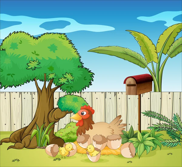 Une poule et ses poussins — Image vectorielle