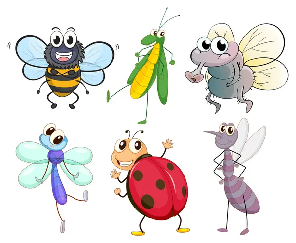 Diferentes insectos — Vector de stock