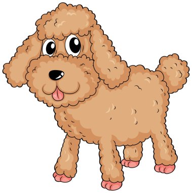 tüylü bir evcil hayvan