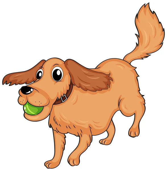 Un perro jugando con la pelota — Vector de stock