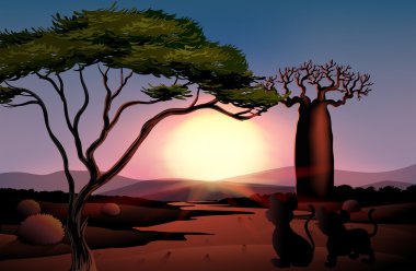 bir gün batımında hayvanlarla çöl