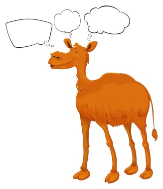 bir deve ile boş belirtme çizgileri