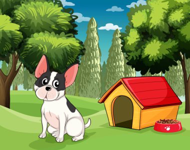 bir köpek bir köpek maması ile bir köpek kulübesi yakınında