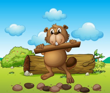 Beaver ile odun parçası