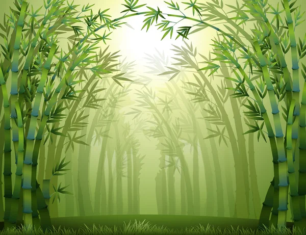 Bamboo trees inside the forest — Stock Vector