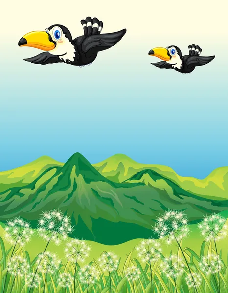Two birds flying along the mountains