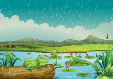Three frogs enjoying the raindrops clipart