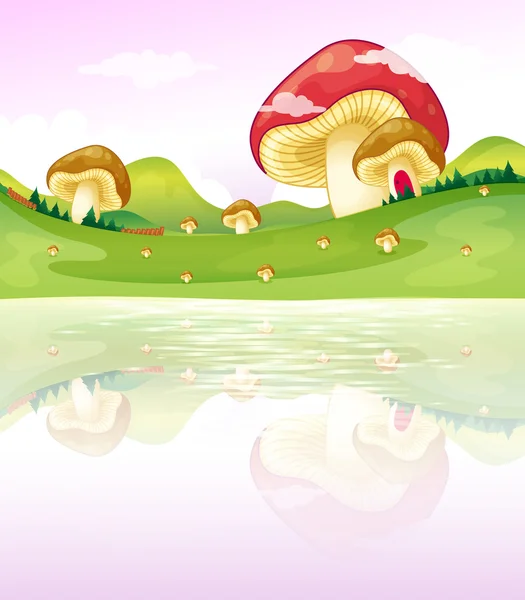 Mushrooms near the lake — Stock Vector