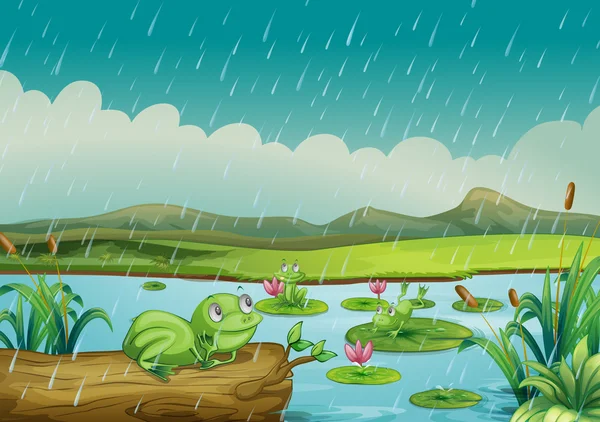 Tres ranas disfrutando de las gotas de lluvia — Archivo Imágenes Vectoriales