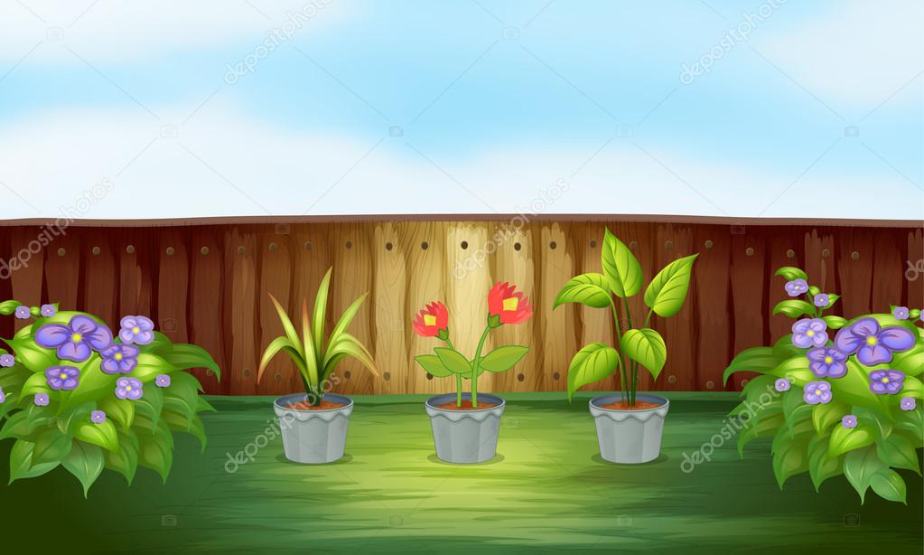 Different types of plant inside the wooden fence