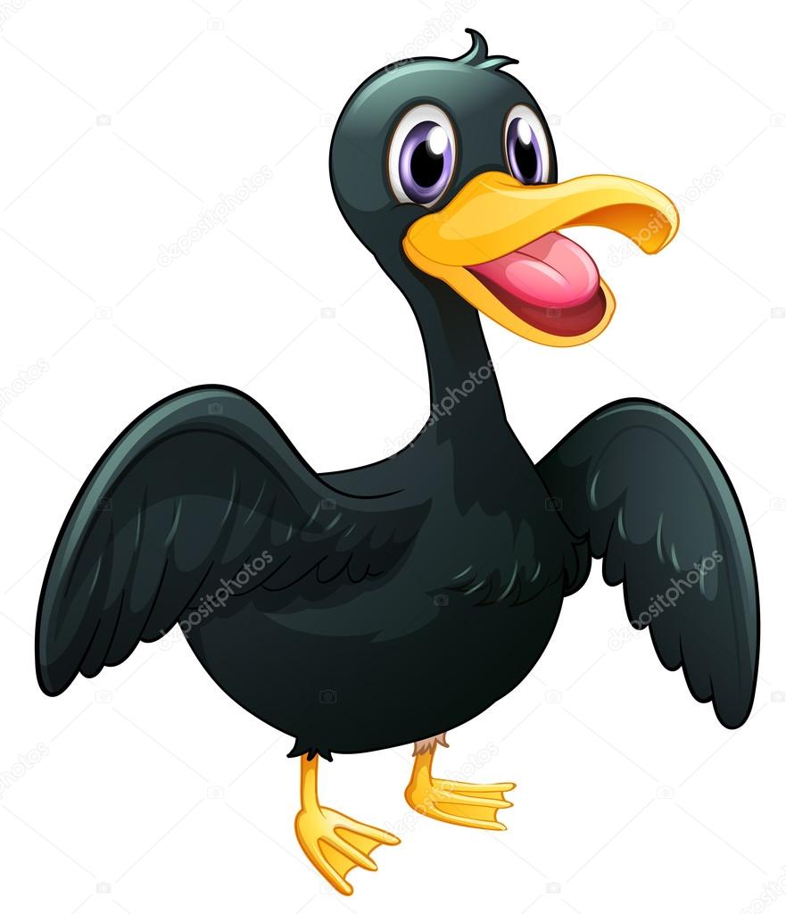 A black duck