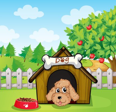 köpek ve onun köpek maması