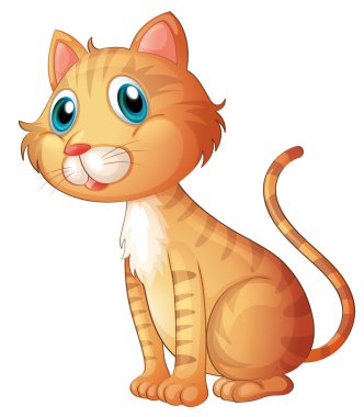 mavi gözlü kedi