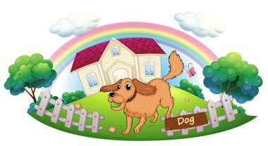 evinin önünde oynayan köpek