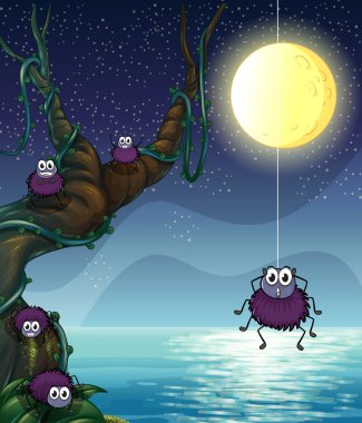 örümcekler bir grup