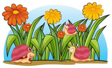 Üç salyangoz bahçede