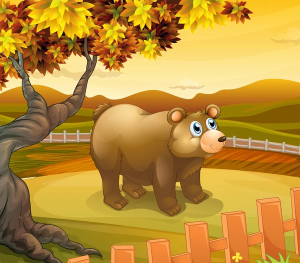 Un gros ours à l'intérieur de la clôture — Image vectorielle