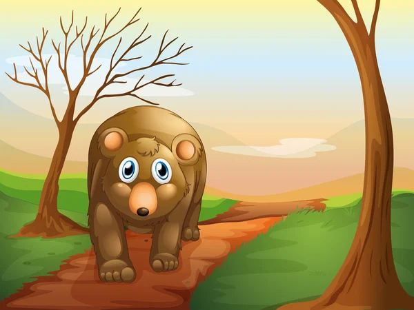 The lonely bear walking — Stock Vector