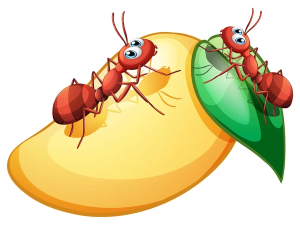 A sweet ripe mango with two ants — Stock Vector