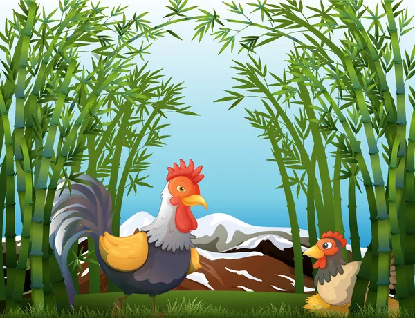 A rooster and a hen at the rainforest — Stock Vector