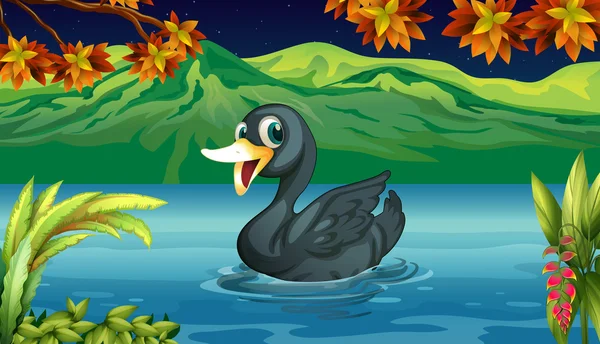 A black swan at the lake — Stock Vector