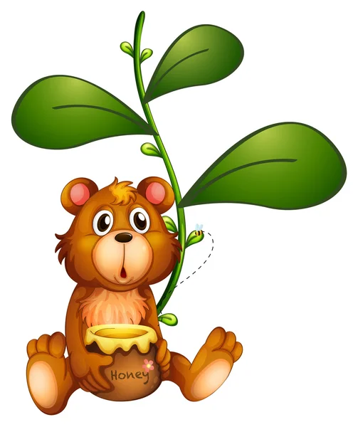 Medvěd v blízkosti rostliny révy — Stockový vektor