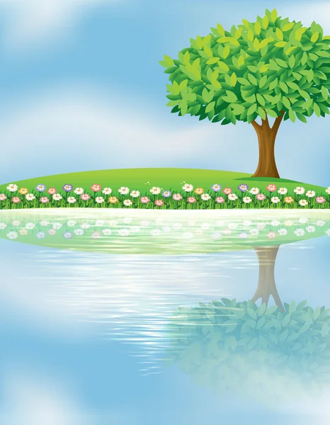 A big tree near the river — Stock Vector