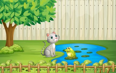 bir kedi ve bir kurbağa çit içinde