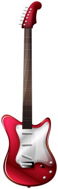 Bir gitar.