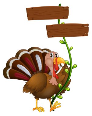 bir sarmaşık bitki ahşap bir tabela ile Türkiye