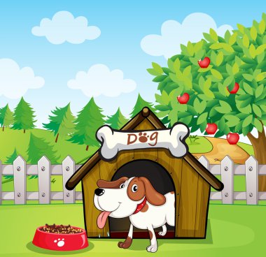 bir köpek bir köpek kulübesi ile bir dogfood içinde