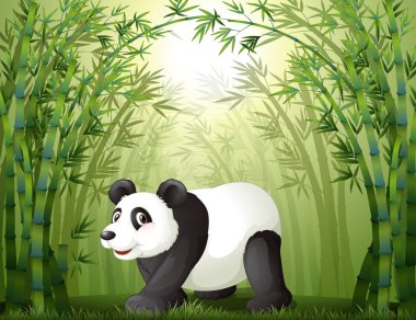 Bambu ağaçları ile merkezi bir panda