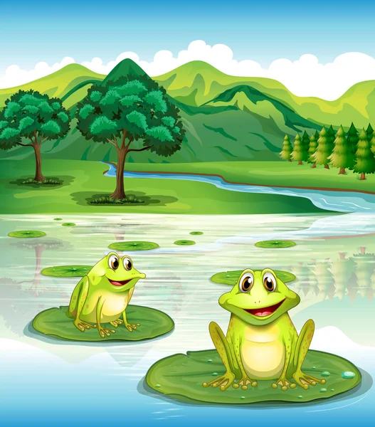 Two frogs above the waterlilies — Stock Vector