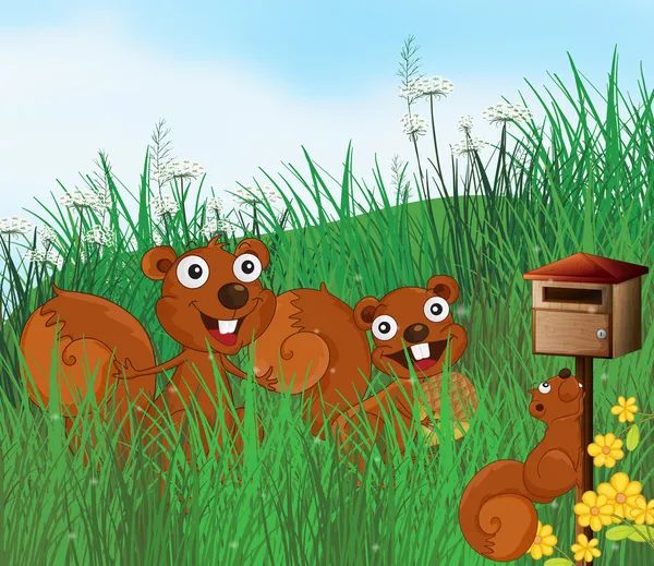 Trois écureuils avec une boîte aux lettres en bois — Image vectorielle