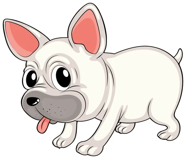 Un bulldog bianco — Vettoriale Stock