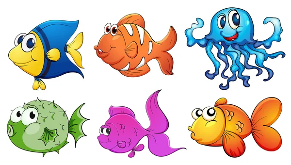 Five different kinds of sea creatures — Stock Vector