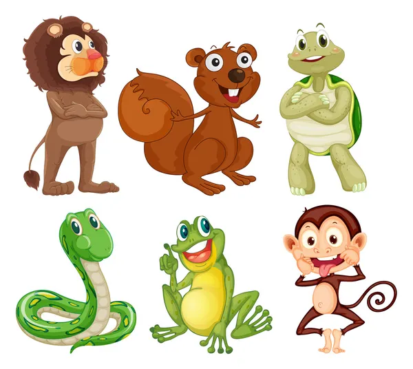 Six different kinds of animals in the jungle — Stock Vector