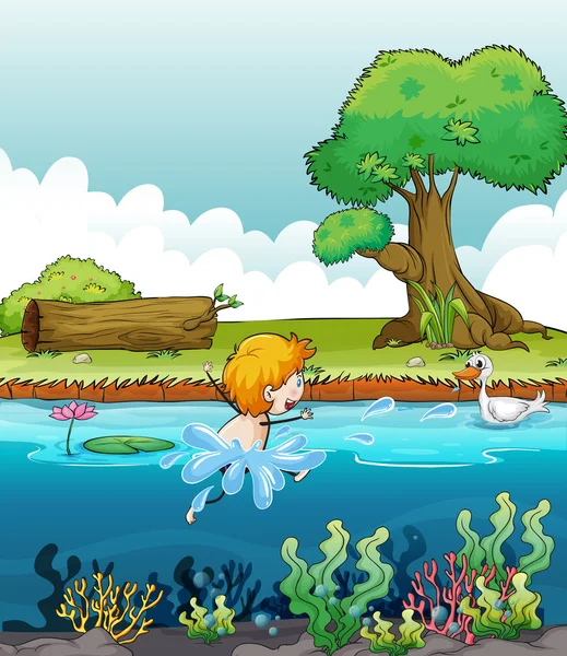 A boy swimming with a duck in the river — Stock Vector