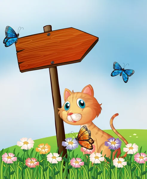 Ahşap ok kartı ile turuncu bir kedisi — Stok Vektör