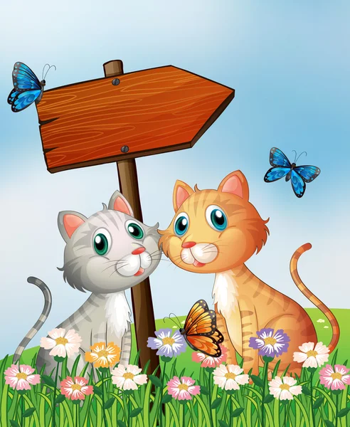 Deux chats devant une flèche en bois vide — Image vectorielle