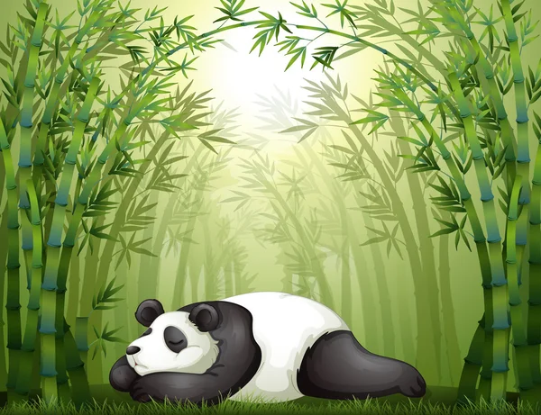 A panda sleeping between the bamboo trees — Stock Vector
