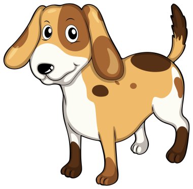 çok güzel bir pet