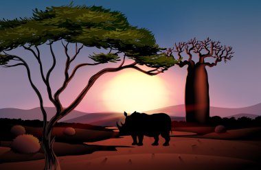 dört ayaklı hayvan ile bir günbatımı manzara