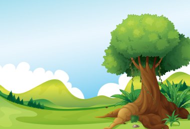Sarmaşık bitkileri hills yakınlarında ile büyük bir ağaç
