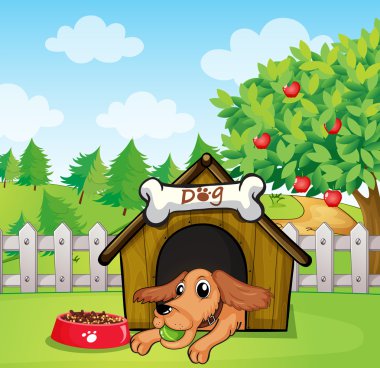 bir köpek bir köpek kulübesi içinde bir top