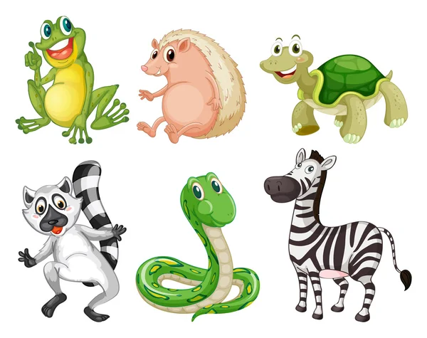 Different species of animals — Stock Vector