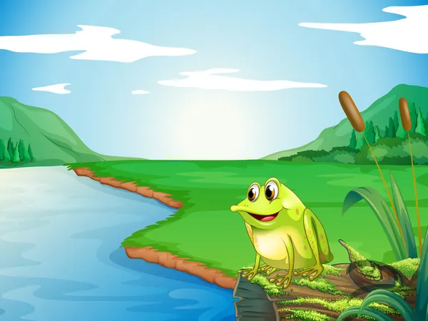 A frog at the riverbank — Stock Vector