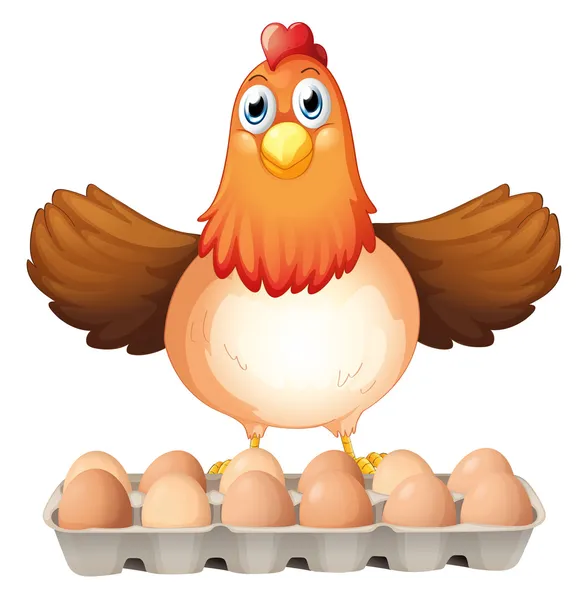 A dozen of eggs and the mother hen — Stock Vector