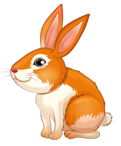 A fat bunny — Stock Vector